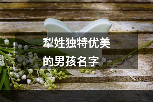 犁姓独特优美的男孩名字