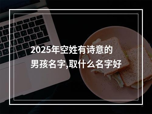 2025年空姓有诗意的男孩名字,取什么名字好