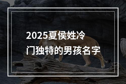 2025夏侯姓冷门独特的男孩名字