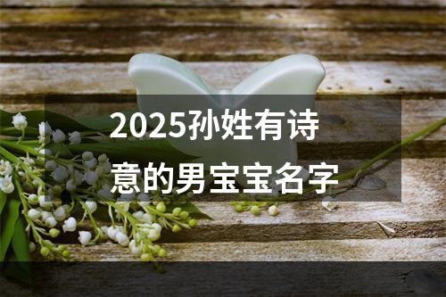 2025孙姓有诗意的男宝宝名字