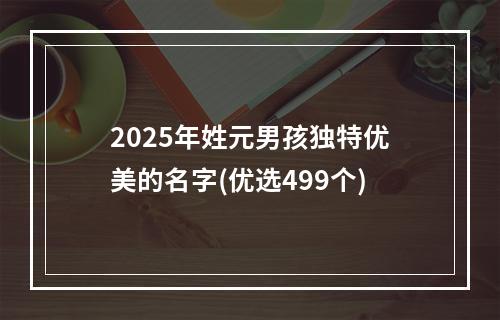 2025年姓元男孩独特优美的名字(优选499个)