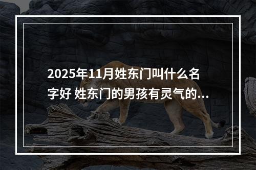 2025年11月姓东门叫什么名字好 姓东门的男孩有灵气的名字