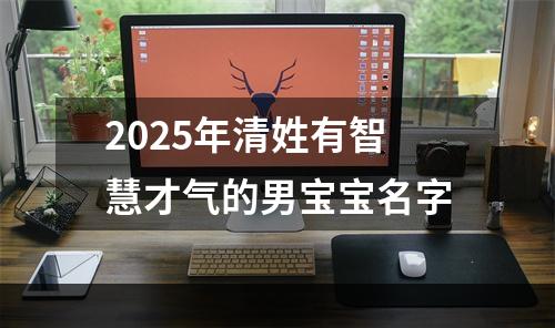 2025年清姓有智慧才气的男宝宝名字