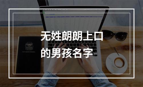无姓朗朗上口的男孩名字