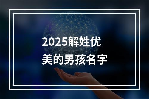 2025解姓优美的男孩名字