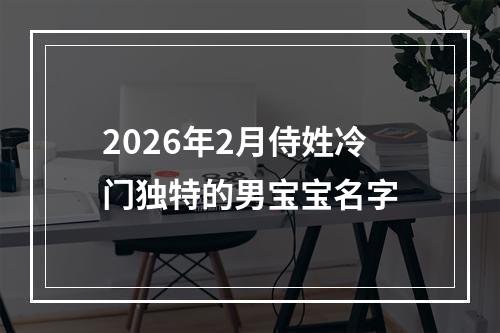 2026年2月侍姓冷门独特的男宝宝名字
