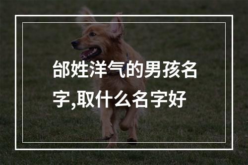 邰姓洋气的男孩名字,取什么名字好