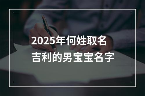 2025年何姓取名吉利的男宝宝名字