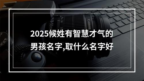 2025候姓有智慧才气的男孩名字,取什么名字好