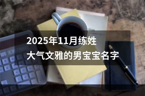2025年11月练姓大气文雅的男宝宝名字