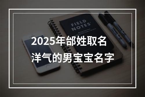 2025年邰姓取名洋气的男宝宝名字