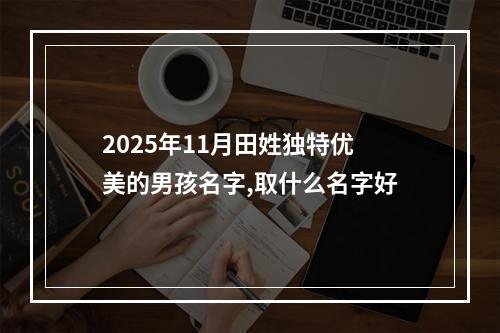 2025年11月田姓独特优美的男孩名字,取什么名字好