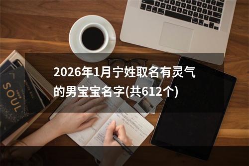 2026年1月宁姓取名有灵气的男宝宝名字(共612个)