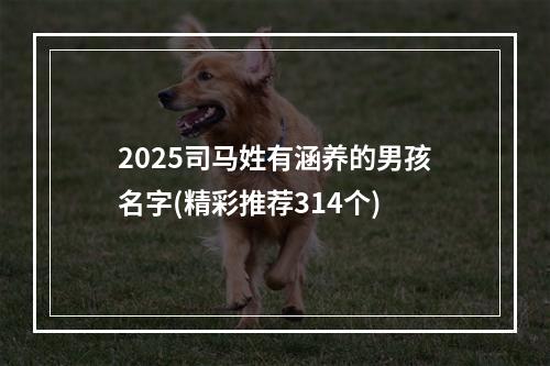 2025司马姓有涵养的男孩名字(精彩推荐314个)