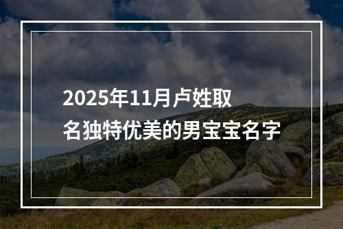 2025年11月卢姓取名独特优美的男宝宝名字