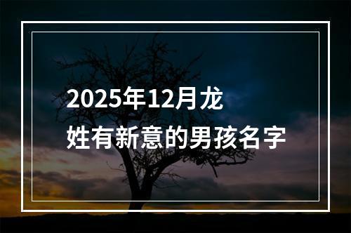 2025年12月龙姓有新意的男孩名字