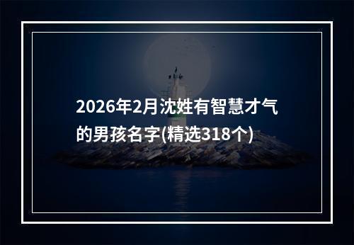 2026年2月沈姓有智慧才气的男孩名字(精选318个)
