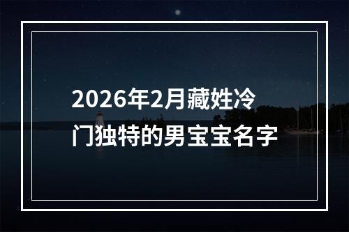 2026年2月藏姓冷门独特的男宝宝名字