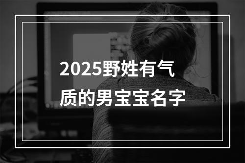 2025野姓有气质的男宝宝名字