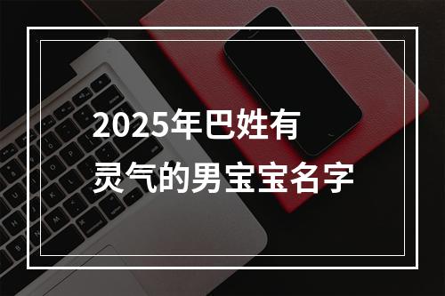 2025年巴姓有灵气的男宝宝名字