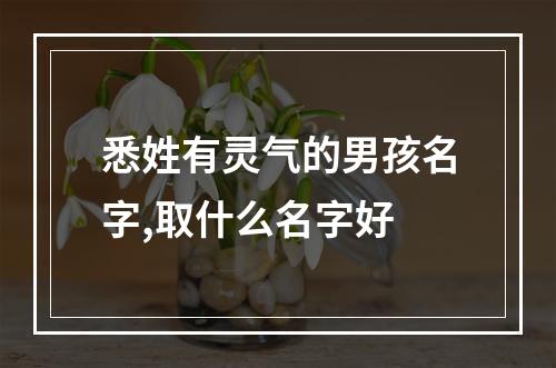 悉姓有灵气的男孩名字,取什么名字好