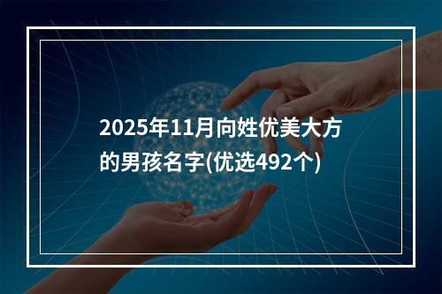 2025年11月向姓优美大方的男孩名字(优选492个)