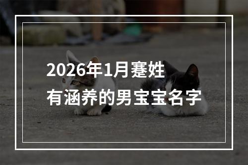 2026年1月蹇姓有涵养的男宝宝名字