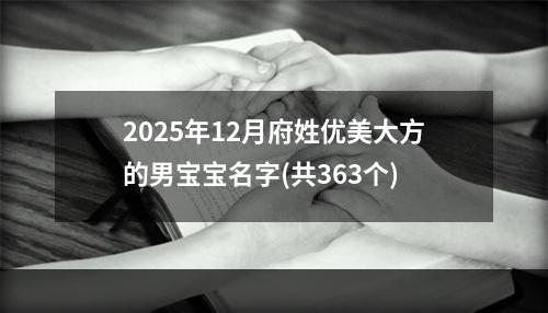 2025年12月府姓优美大方的男宝宝名字(共363个)
