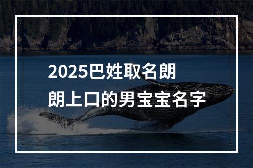 2025巴姓取名朗朗上口的男宝宝名字
