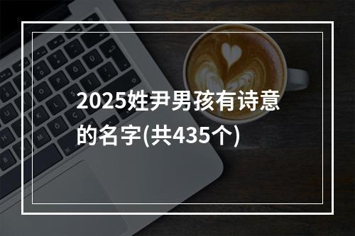 2025姓尹男孩有诗意的名字(共435个)