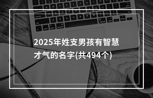 2025年姓支男孩有智慧才气的名字(共494个)
