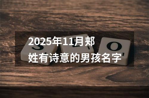 2025年11月郏姓有诗意的男孩名字