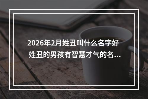 2026年2月姓丑叫什么名字好 姓丑的男孩有智慧才气的名字