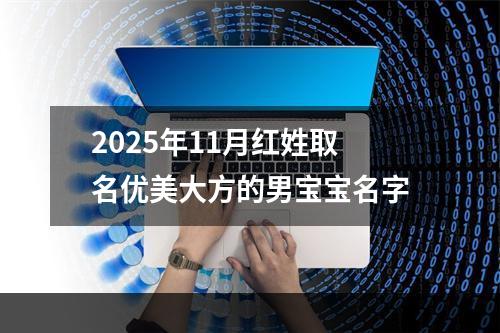 2025年11月红姓取名优美大方的男宝宝名字