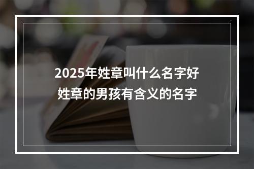 2025年姓章叫什么名字好 姓章的男孩有含义的名字