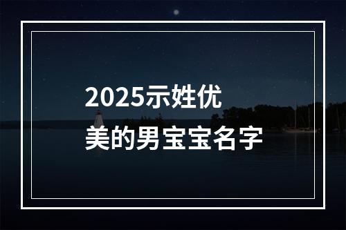 2025示姓优美的男宝宝名字