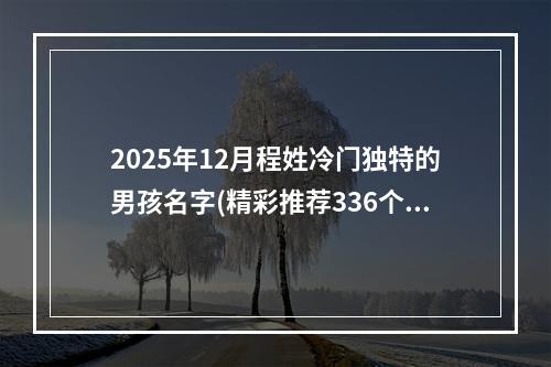 2025年12月程姓冷门独特的男孩名字(精彩推荐336个)