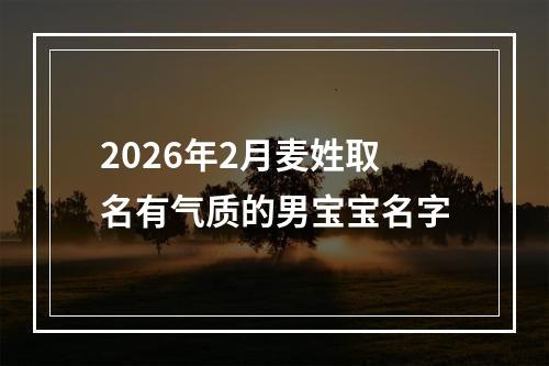 2026年2月麦姓取名有气质的男宝宝名字