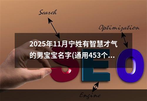 2025年11月宁姓有智慧才气的男宝宝名字(通用453个)