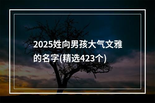 2025姓向男孩大气文雅的名字(精选423个)