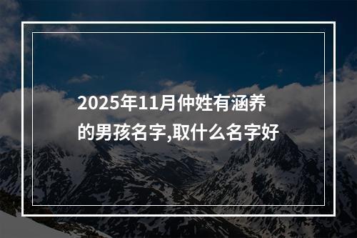 2025年11月仲姓有涵养的男孩名字,取什么名字好