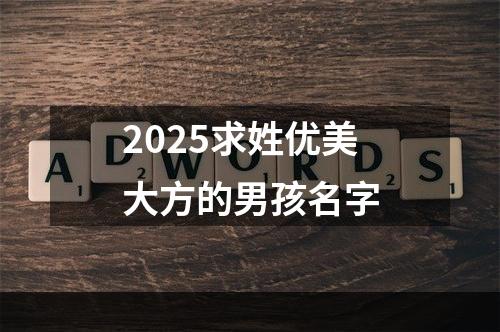 2025求姓优美大方的男孩名字