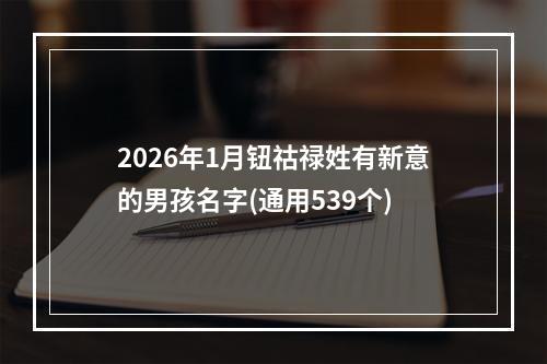 2026年1月钮祜禄姓有新意的男孩名字(通用539个)
