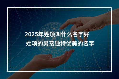 2025年姓项叫什么名字好 姓项的男孩独特优美的名字