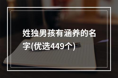 姓独男孩有涵养的名字(优选449个)