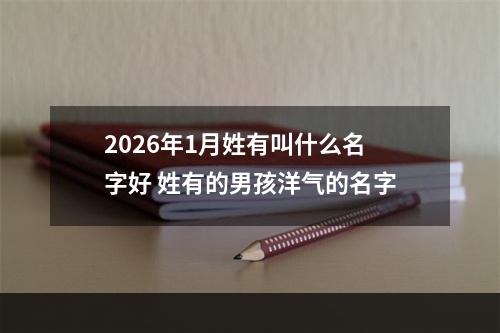 2026年1月姓有叫什么名字好 姓有的男孩洋气的名字