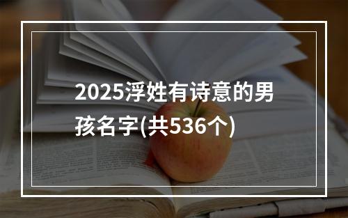 2025浮姓有诗意的男孩名字(共536个)