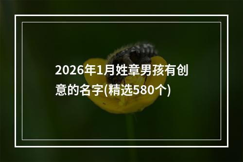 2026年1月姓章男孩有创意的名字(精选580个)