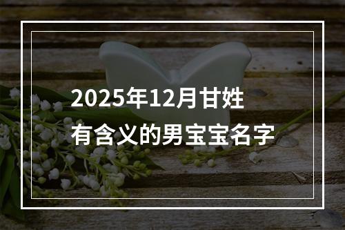2025年12月甘姓有含义的男宝宝名字