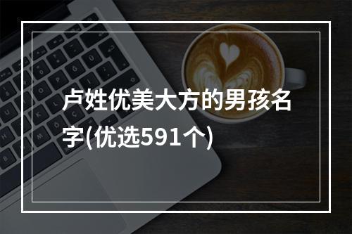 卢姓优美大方的男孩名字(优选591个)
